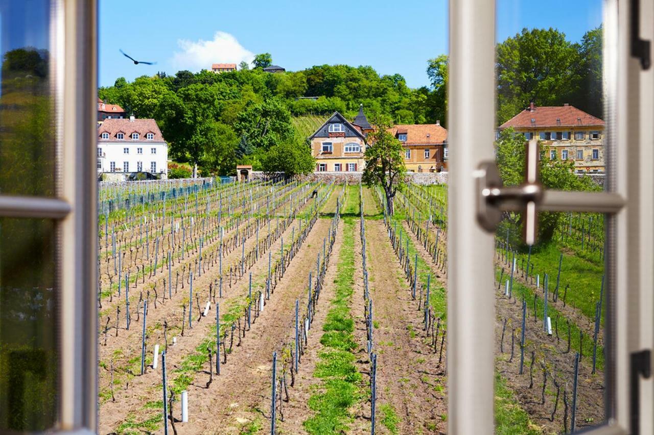 ラーデボイル Weingut Haus Steinbachヴィラ エクステリア 写真
