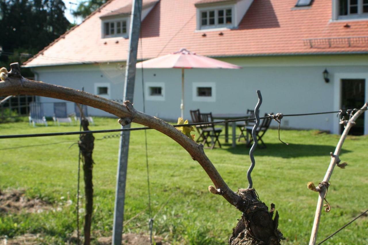 ラーデボイル Weingut Haus Steinbachヴィラ エクステリア 写真